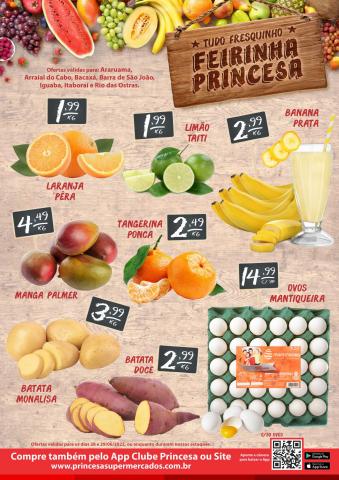 Catálogo Princesa Supermercados em São Gonçalo | Ofertas Princesa Supermercados | 28/06/2022 - 29/06/2022