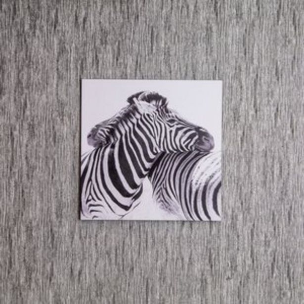 Oferta de Placa Decorativa Zebra 29x29cm por R$15,99